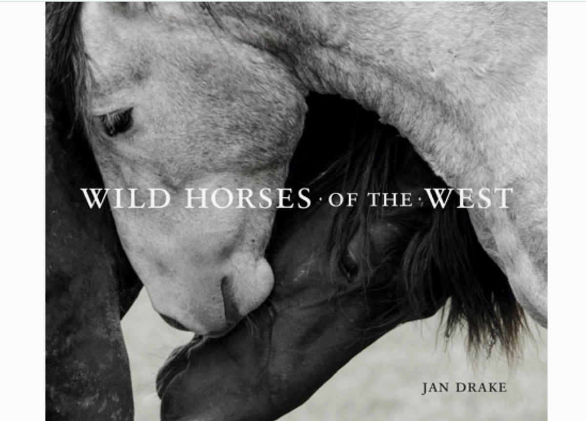 Wild Horses of the West photography Coffee Table Book Thistle Creek