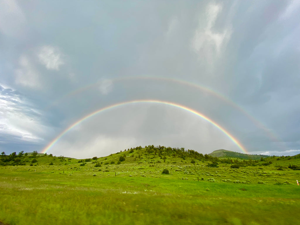 Rainbows (as seen through the lens of a 96 year old)
