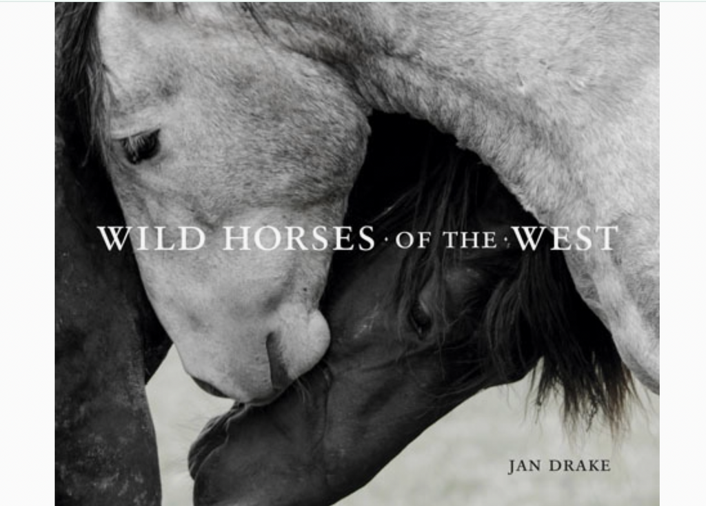 Wild Horses of the West : photography Coffee Table Book