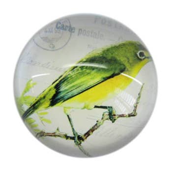 Bird Glass Paperweight