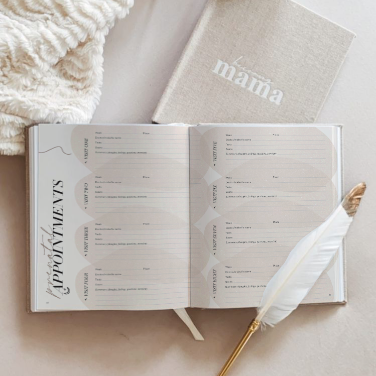 Becoming Mama // A pregnancy journal