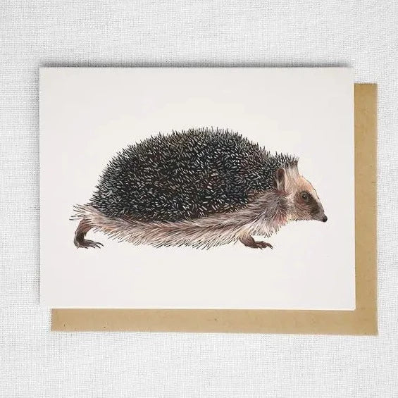 Watercolor rendering of a hedgehog