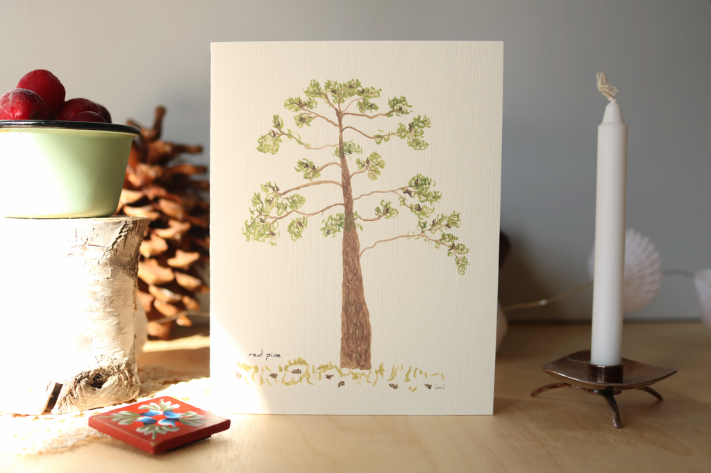 Watercolor card of a red pine tree